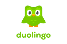 Problemas da Duolingo