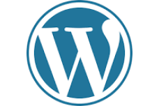 Problemas da WordPress